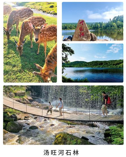 1756537428766783.png image.png